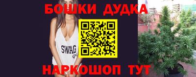 spice Кимры