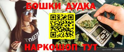 spice Кимры