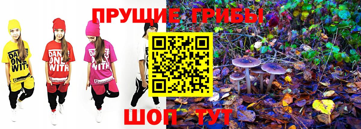 Норильск  Галлюциногенные грибы Psilocybine cubensis  Вход с VPN  Псилоцибиновые грибы мухоморы 